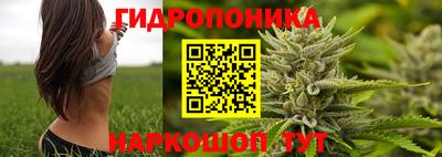 стаф Гусев