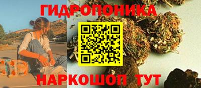 стаф Гусев
