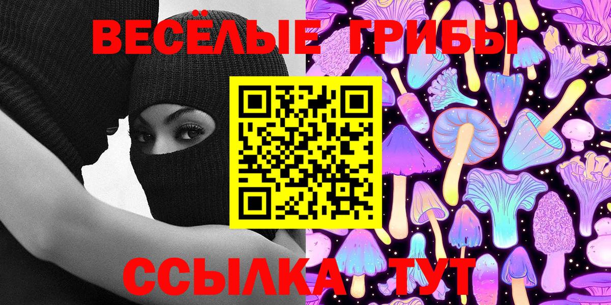 Галлюциногенные грибы Psilocybine cubensis Магнитогорск