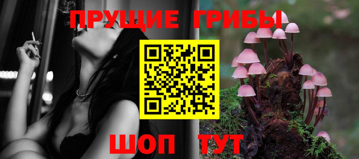 Магнитогорск  Галлюциногенные грибы Psilocybe  Вход с VPN 